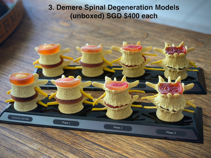 Demere Spinal Degeneration Models - RRP USD$395